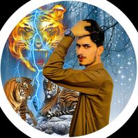 salman12345ok