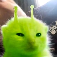 suara asli - tapusey