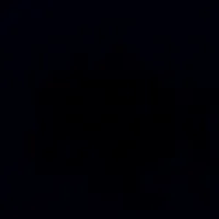 original sound - rani_karisma8