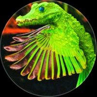 bunyi asal - 🌘junaidi🌒