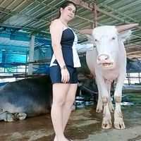 usert40uv3xvpz