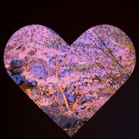 オリジナル楽曲 - 🍵まっちゃ 【癒しスポット紹介】