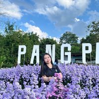 maprang.26
