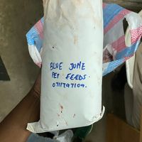 bluejune38