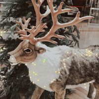 _xmastok