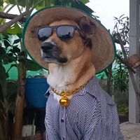 i_am.j_sup