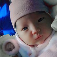 y.taica