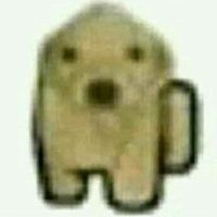 lowi_kiwi