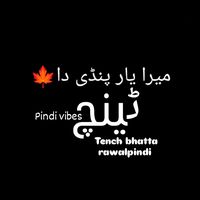 pindi.vibes000