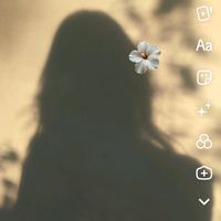 original sound - 97.25%