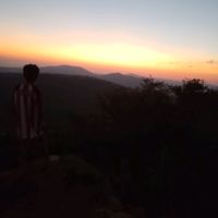cuauhtli_cookie