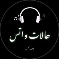 الصوت الأصلي