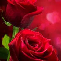 original sound - nekesa_0