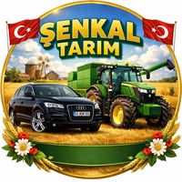 orijinal ses