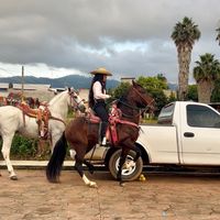 itzel.chavez82