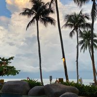 ham_443