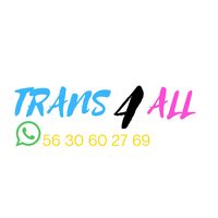 trans4allshop