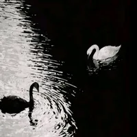 original sound - aysh_queen07
