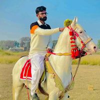 sajawalgujjar322