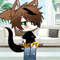 https._.stupid._boy_