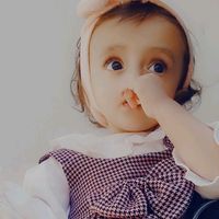 nezaketravza.zkan