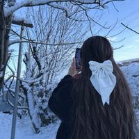 rezhin_e
