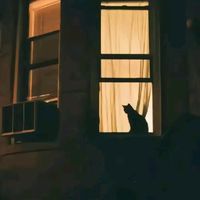 dark_smoke_life