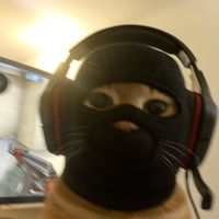 original sound - OMVR