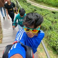 kopijatey_lychee