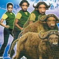 original sound - be01maituengdaingai