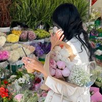 catflorist.zz