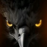 saad96214072266495
