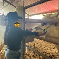 original sound - _diana554