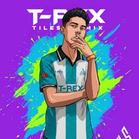 suara asli - T I L E S  R E M I X®