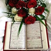 original sound - my.life.is.nosey