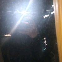 suara asli - FAUZAN 🤙