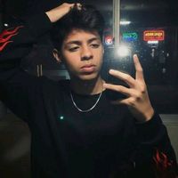 fans_de_jonson