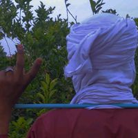 ahmedwww31