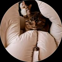 suara asli - ムフタル