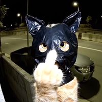suara asli - iqmalzc_