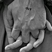mohammedh7486