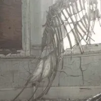 original sound - algodelinterior7