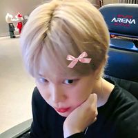 hobievinx
