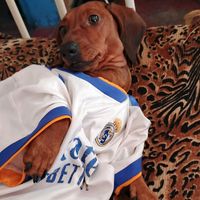 cristiano.ronaldo_6575_