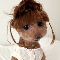 original sound - krzzclrss