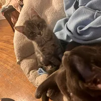 original sound - moana.palacios