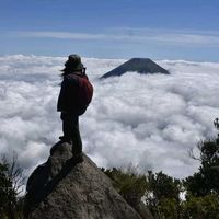 suara asli - SandyThrift