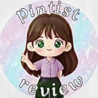pintist_review