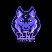 tsy.racing