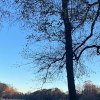 オリジナル楽曲 - ikilutameni